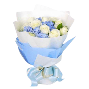 Hydrangea hand bouquet