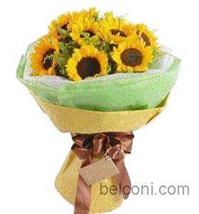 Gerbera and Sunflowers Hand Bouquets