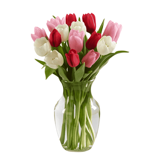 Tulip hand bouquet