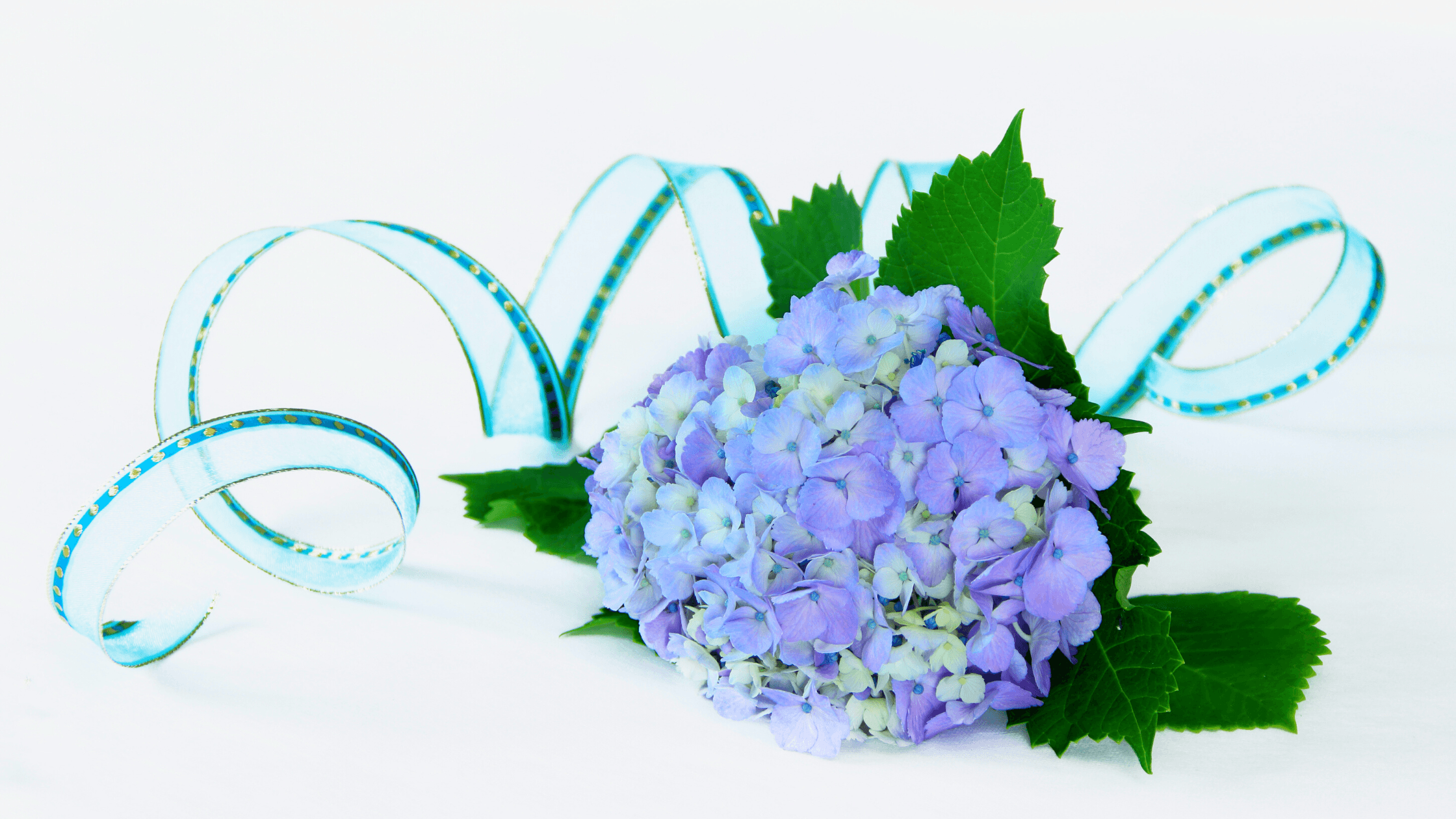 Hydrangea Flower bouquet