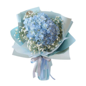 Hydrangea with baby breath. Decorated with blue hydrangea white baby breath with blue wrapping and a silver ribbon.
