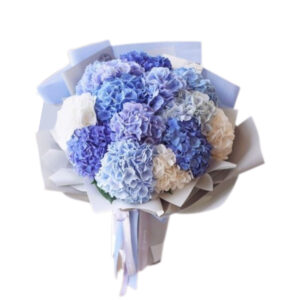 Mix Hydrangea bouquet. Large collection of Hydrangea.